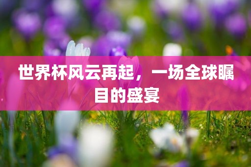 世界杯风云再起，一场全球瞩目的盛宴