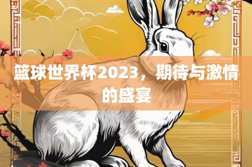 篮球世界杯2023，期待与激情的盛宴