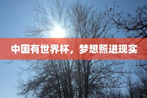 中国有世界杯，梦想照进现实