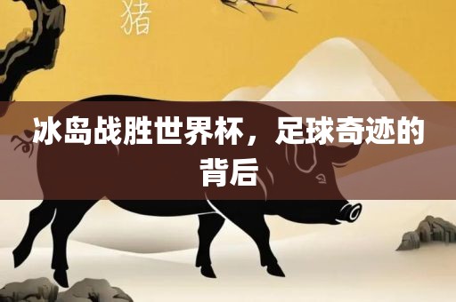 冰岛战胜世界杯，足球奇迹的背后