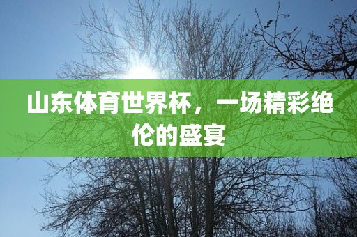 山东体育世界杯，一场精彩绝伦的盛宴漯河市盈旭机械设备有限公司