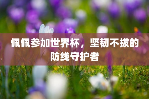 佩佩参加世界杯，坚韧不拔的防线守护者