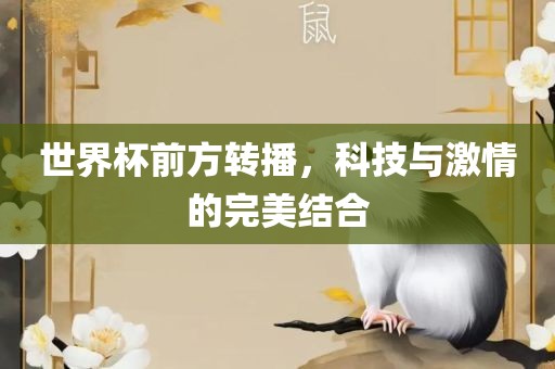 世界杯前方转播，科技与激情的完美结合