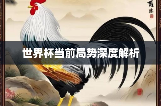 世界杯当前局势深度解析漯河市盈旭机械设备有限公司