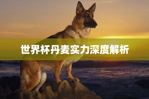 世界杯丹麦漯河市盈旭机械设备有限公司实力深度解析