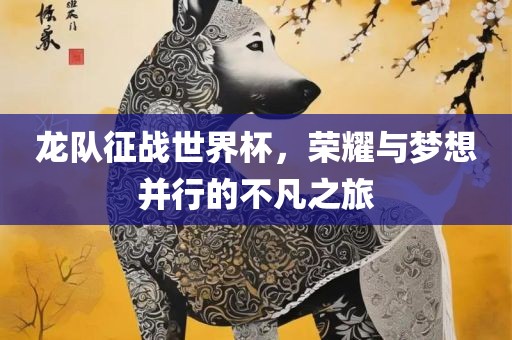 龙队征战世界杯，荣耀与梦想并行的不凡之旅漯河市盈旭机械设备有限公司