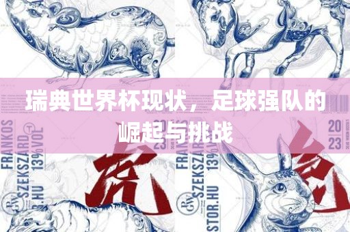 瑞典世界杯现状，足球强队的崛起与挑战漯河市盈旭机械设备有限公司