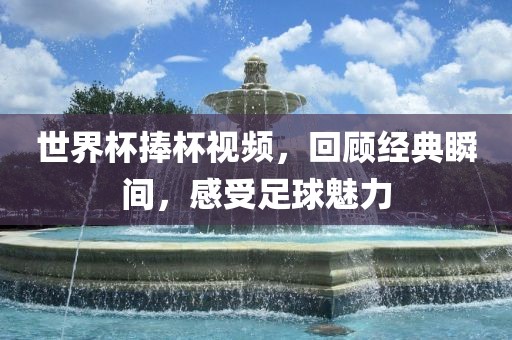 世界杯捧杯视频，回顾经典瞬间，感受足球魅力