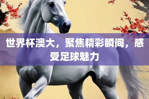 世界杯澳大，聚焦精彩瞬间，感受足球魅力