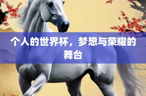个人的世界杯，梦想与荣耀的舞台