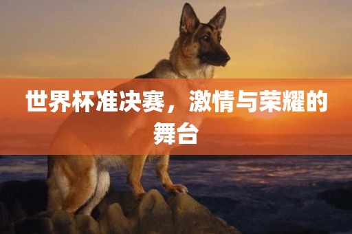 世界杯准决赛，激情与荣耀的舞台漯河市盈旭机械设备有限公司