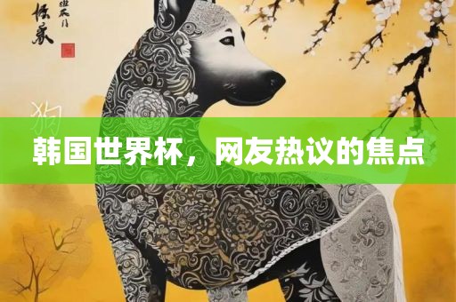 韩国世界杯，网友热议的焦点