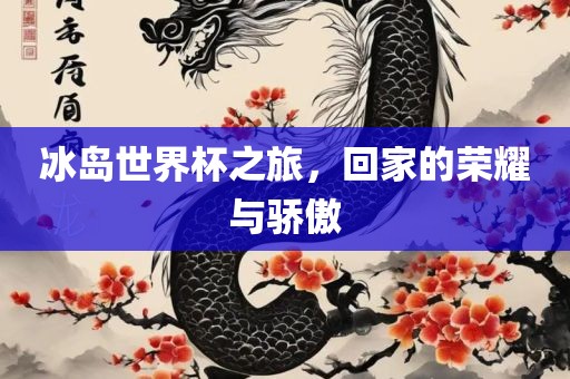 冰岛世界杯之旅，回家的荣耀与骄傲