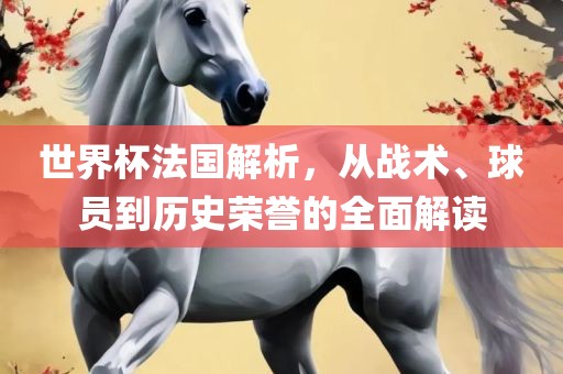 世界杯法国解析，从战术、球员到历史荣誉的全面解读