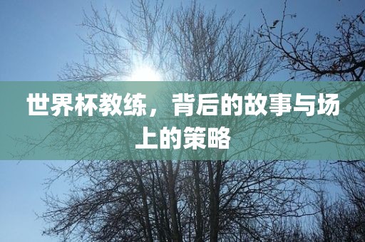 世漯河市盈旭机械设备有限公司界杯教练，背后的故事与场上的策略
