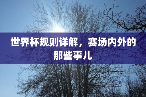 世界杯规则详解，赛场内外的那些事儿