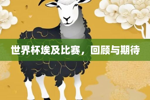 世界杯埃及比赛，回顾与期待