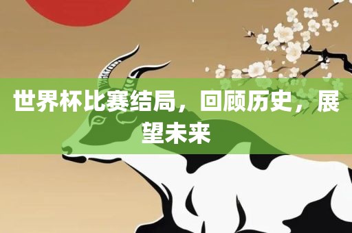 世界杯比赛结局，回顾历史，展望未来