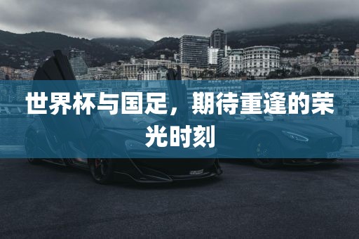 世界杯与国足，期待重逢的荣光时刻漯河市盈旭机械设备有限公司