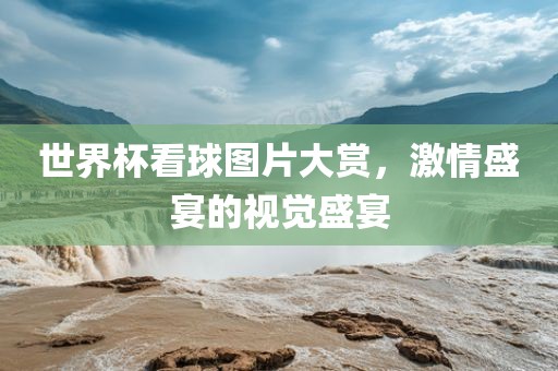 世界杯看球图片大赏，激情盛宴的视觉盛宴