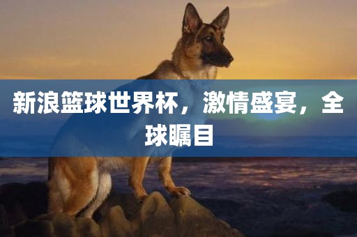 新浪篮球世界杯，激情盛宴，全球瞩目