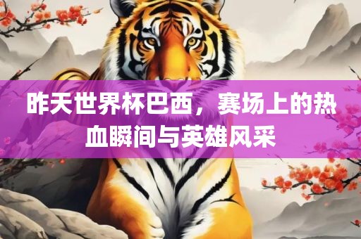 昨天世界杯巴西，赛场上的热血瞬间与英雄风采