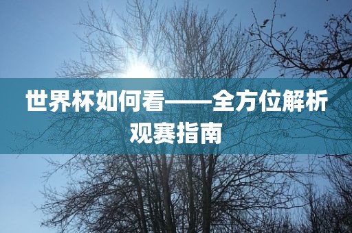 世界杯如何看——全方位解析观赛指南