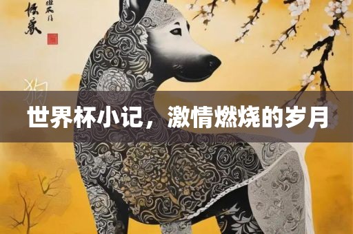 世界杯小记，激情燃烧的岁月