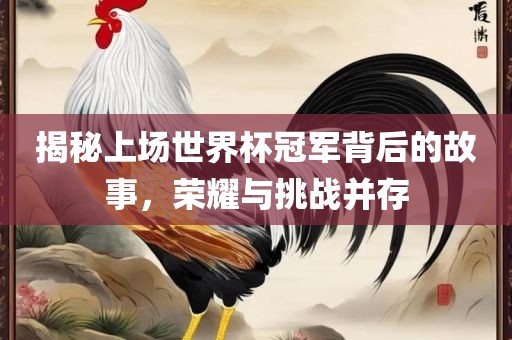 揭秘上场世界杯冠军背后的故事，荣耀与挑战并存