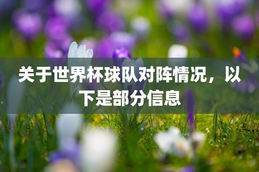 关于世界杯球队对阵情况，以下是部分信息漯河市盈旭机械设备有限公司