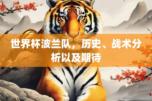 世界杯波兰队，历史、战术分析以及期待漯河市盈旭机械设备有限公司