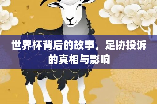 世界杯背后的故事，足协投诉的真相与影响