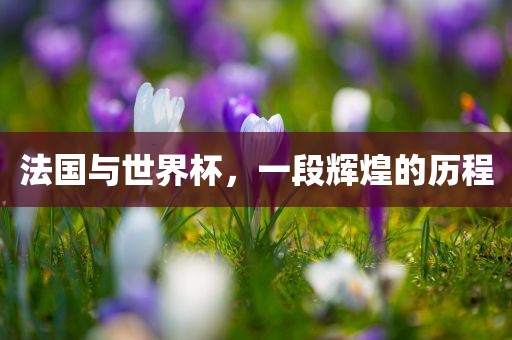 法国与世界杯，一段辉煌的历程