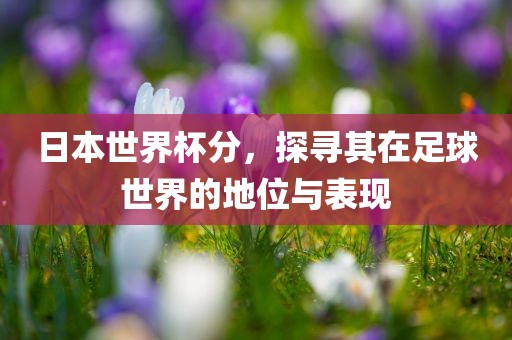 日本世界杯分，探寻其在足球世界的地位与漯河市盈旭机械设备有限公司表现