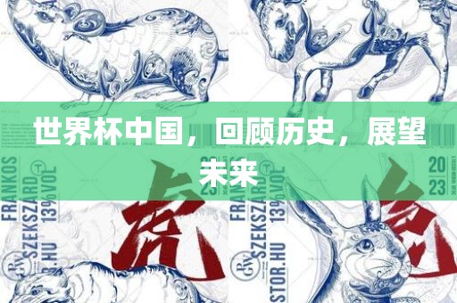 世界杯中国，回顾历史，展望未来