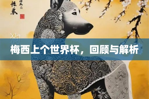 梅西上个世界杯，回顾与解析