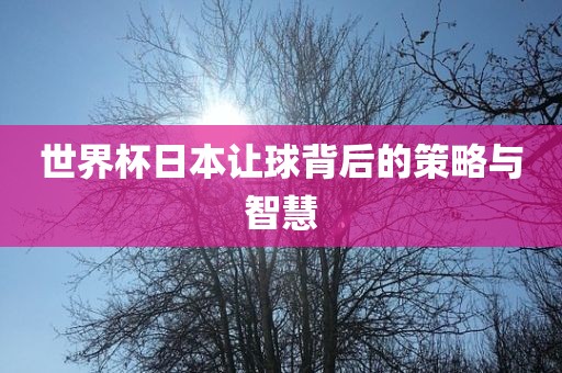 世界杯日本让球背后的策略与智慧漯河市盈旭机械设备有限公司