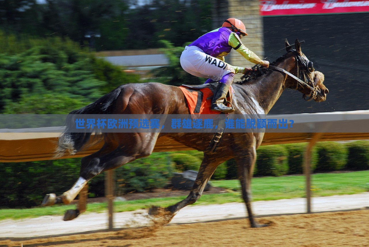 世界杯欧洲预选赛，群雄逐鹿，谁能脱颖而出？
